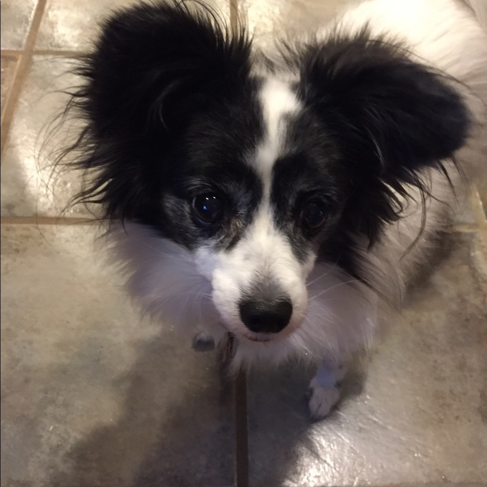 Meet your Posher, Jo